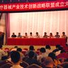 刘燕华副部长出席中国医疗器械产业技术创新战略联盟成立大会